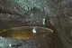 Article Image Collapse into a round lava lake after it drained. The source of the lava is the lavafall in the background. Kazumura Cave on Hawaii Island, May 19, 2016.