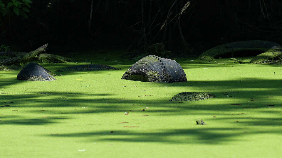 Tires dumped in an algae-covered pond created by a sink hole decades ago in Daisetta, Texas. Photographed on Friday, May 19, 2023 in Daisetta.