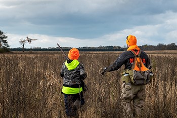 DNR Expands Pheasant Release Program For 2023 Bird Hunting Season