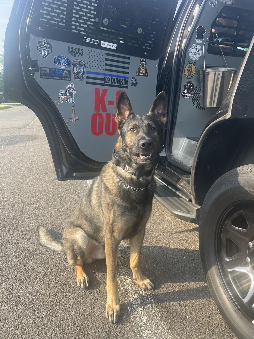 Enfield police: K-9 takes down 14-year-old suspected car thief