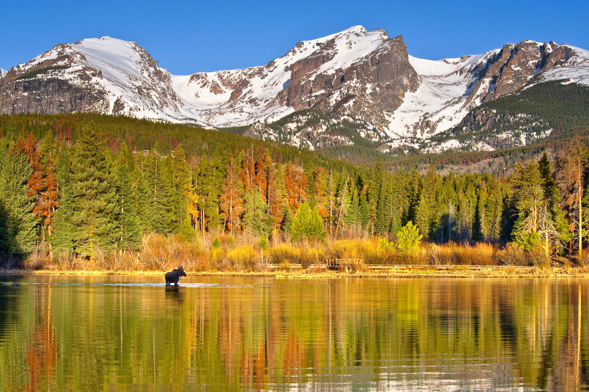 Rocky Mountain Road Trip: Travel Through Colorado's Greatest Hits -  Thrillist