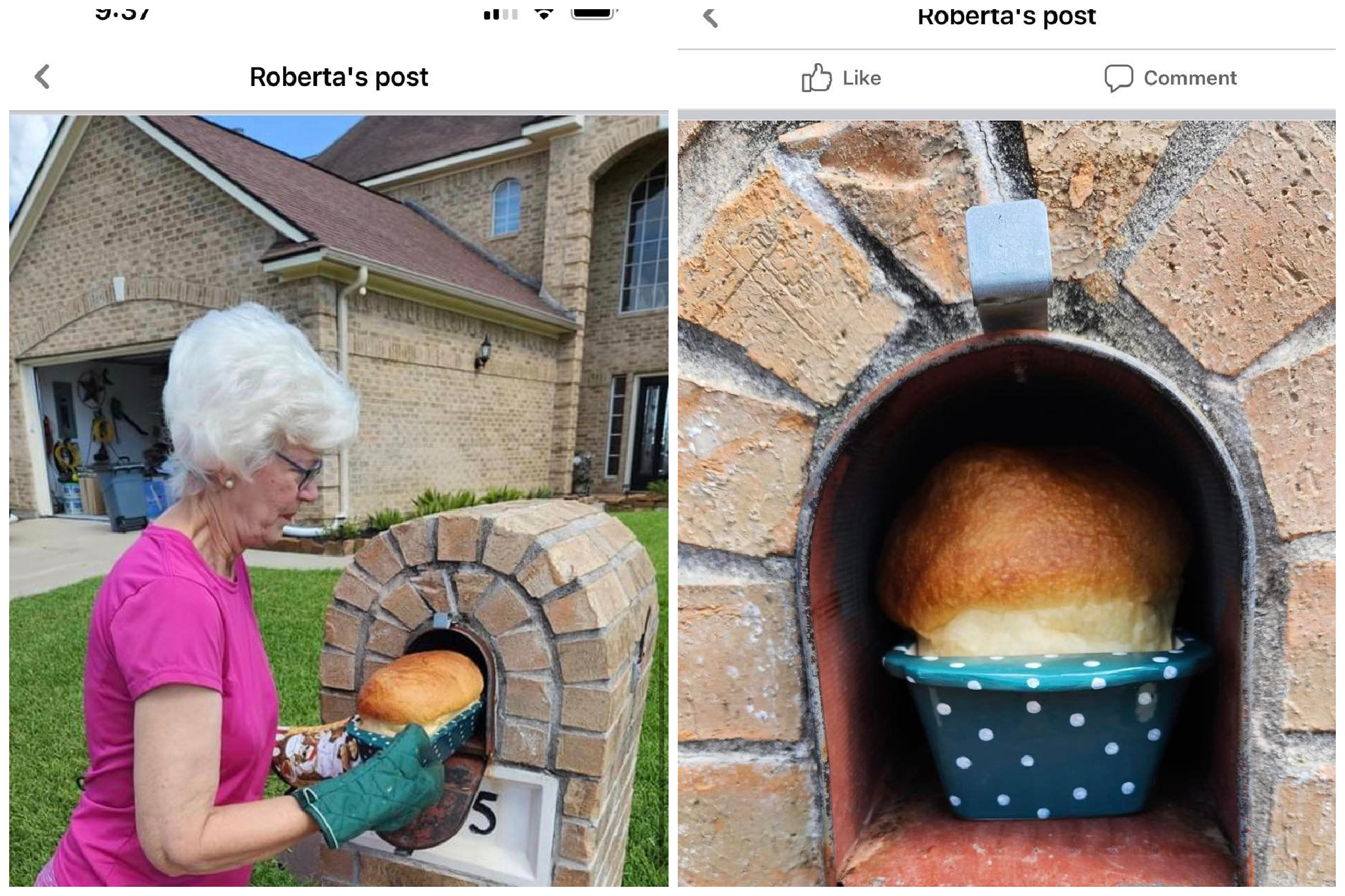 Photo of Houston woman baking bread in mailbox is half-true
