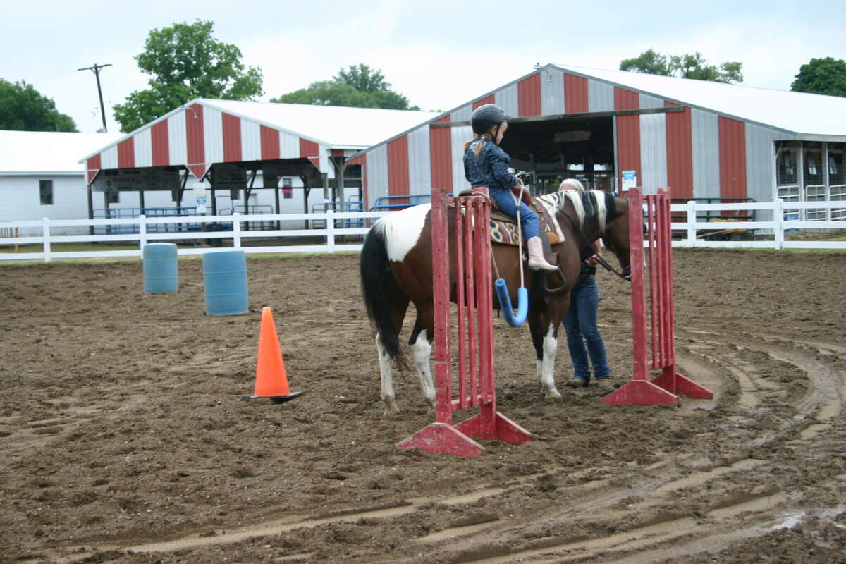 Cloverbud and Peewee horse show in final day of Mecosta County Fair