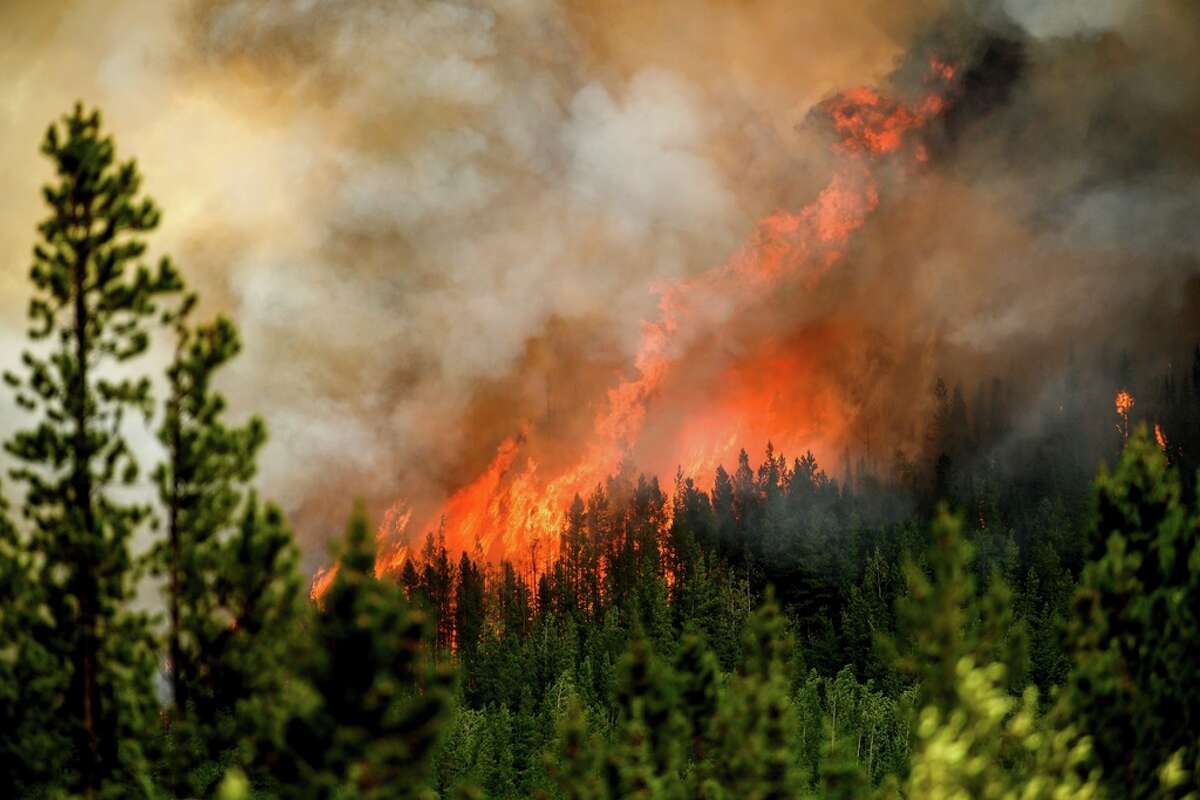 Flames from the Donnie Creek wildfire burn along a ridge top north of Fort St. John in British Columbia.