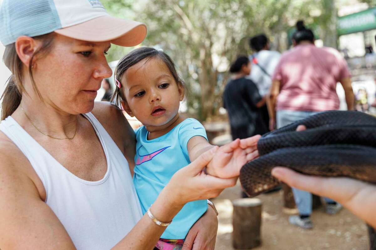 Jill Garcia, from left, and her 2-year-old Romee pet Loki, a black pine snake, as they learn about snakes from Animal Ambassadors Em Copeland and Emily Nations, not pictured, on World Snake Day Sunday morning at the San Antonio Zoo. World Snake Day was started to raise awareness about the more than 3,000 different species found all around the world and to dispel fear of serpents through education.