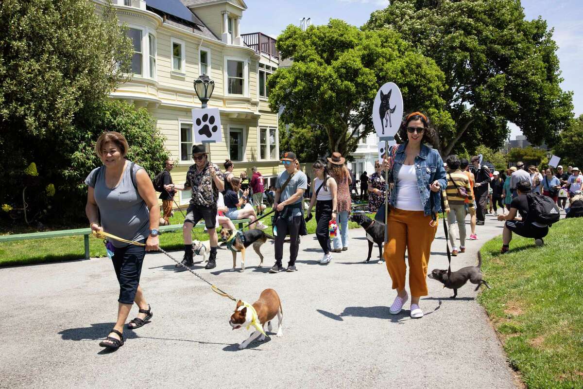 Rosalba Perrone (right) walks her 3-legged dog Neve in the parade along with other participants at the annual 3-legged dog picnic at Duboce Park in San Francisco.