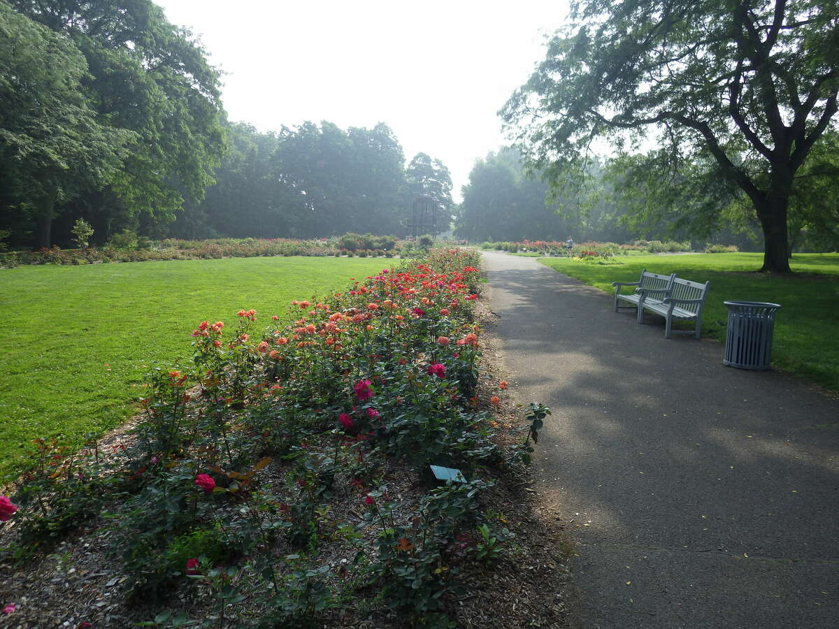 Tom Lounsbury enjoys pancake balls, flower gardens in Columbus, Ohio