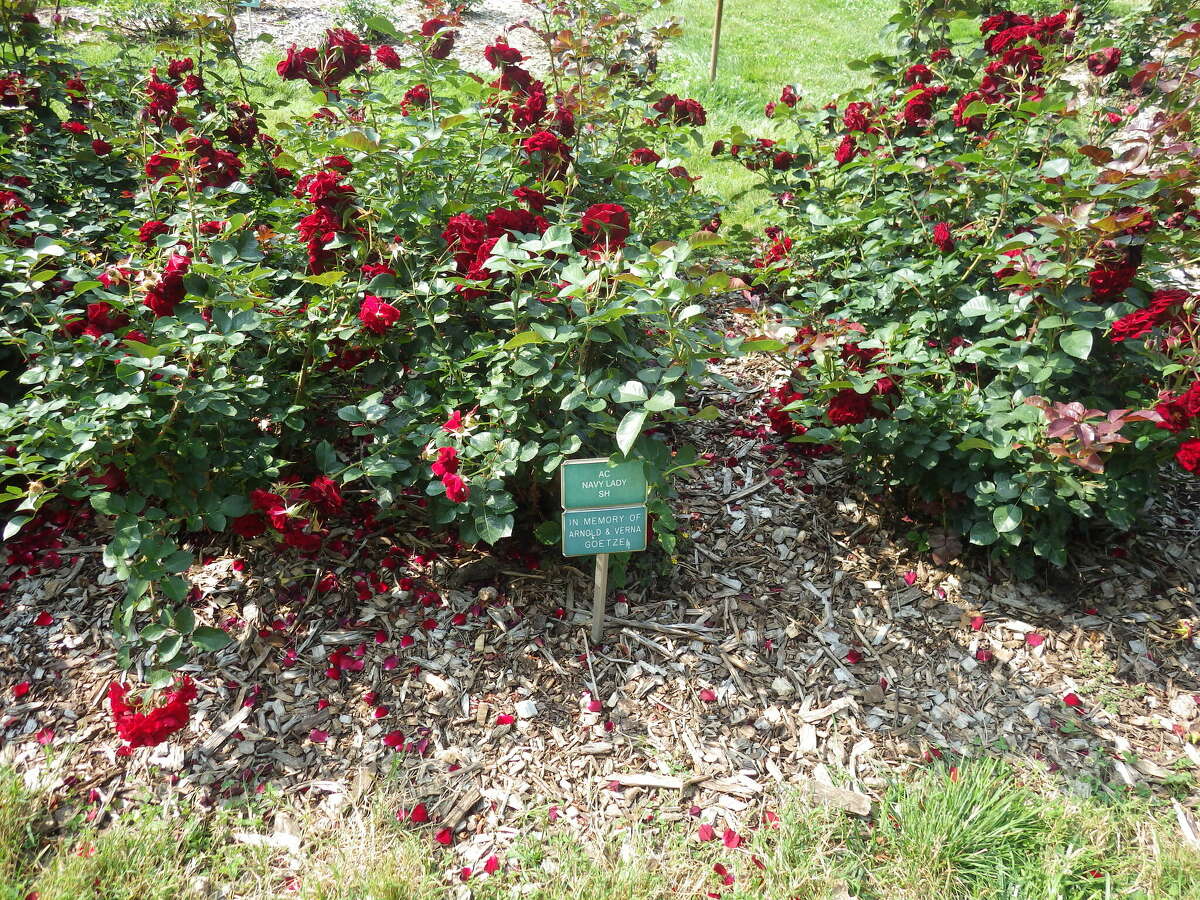 Tom Lounsbury enjoys pancake balls, flower gardens in Columbus, Ohio