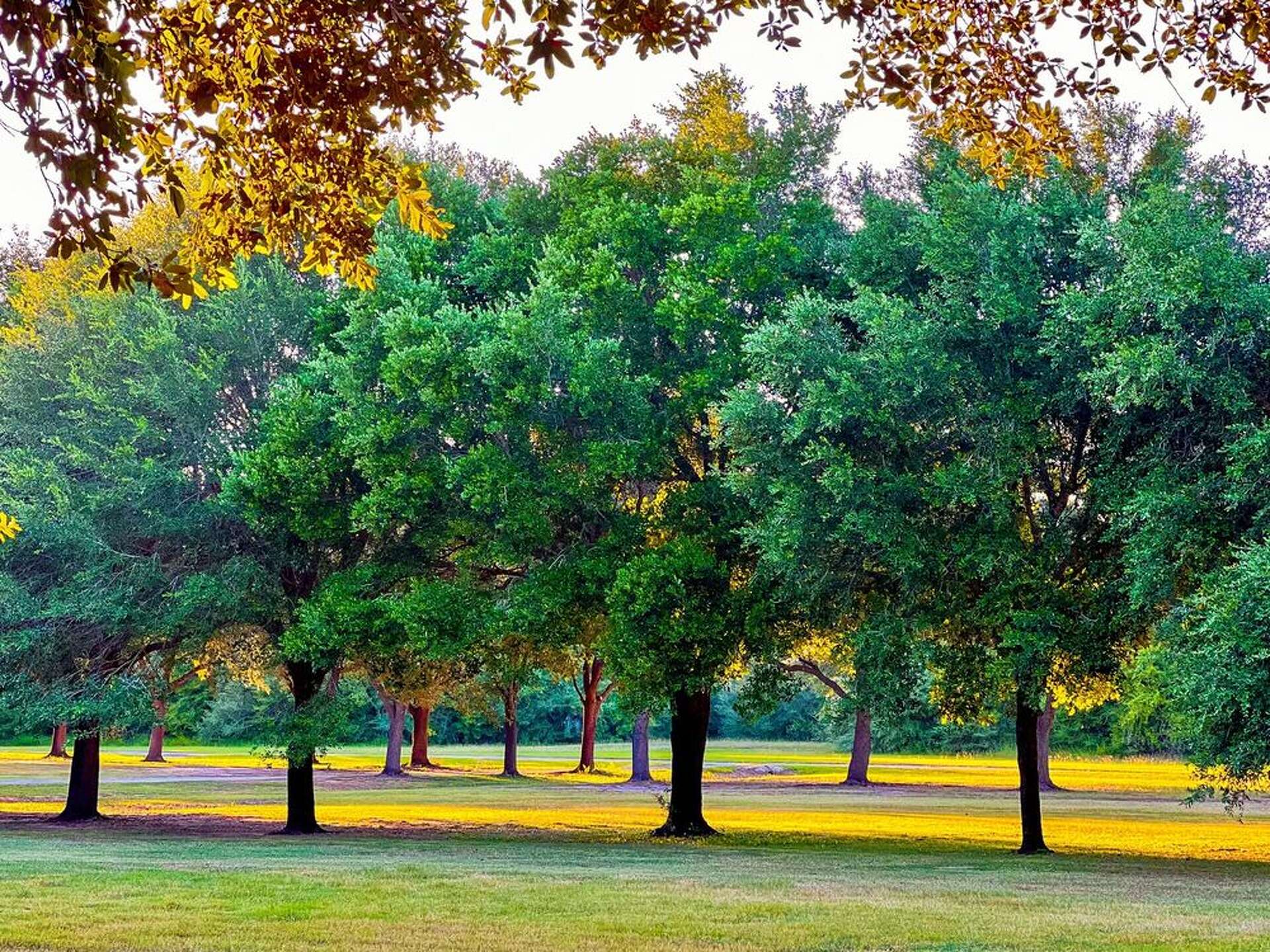George Bush Park: An insider's guide to this Houston gem