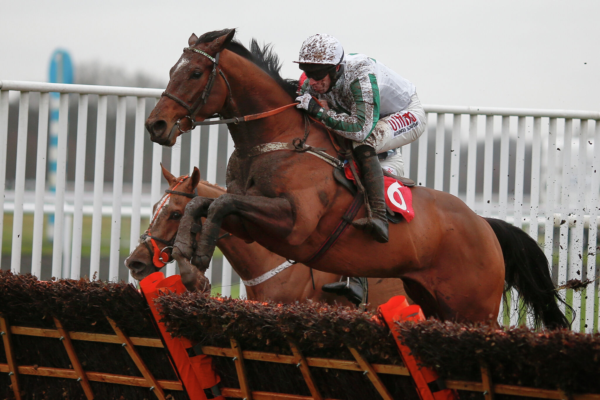 Steeplechase trainer Leslie Young looks to build on success