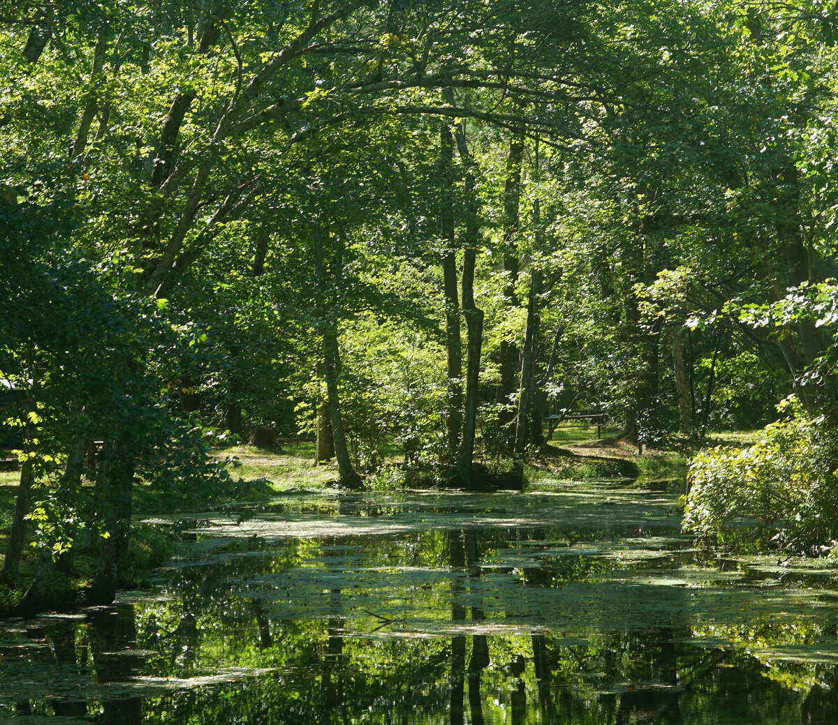 Neversink River Resort campsite is chic and affordable