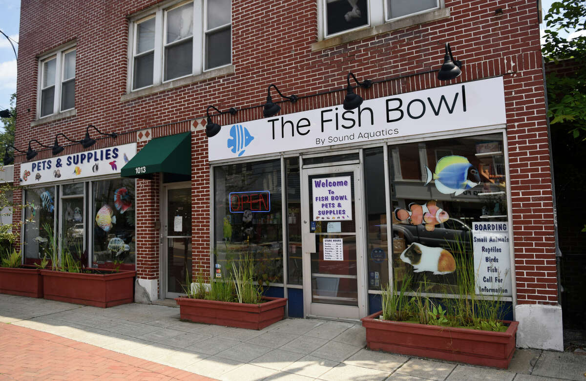 Stamford institution 'The Fish Bowl' lives on with new owner