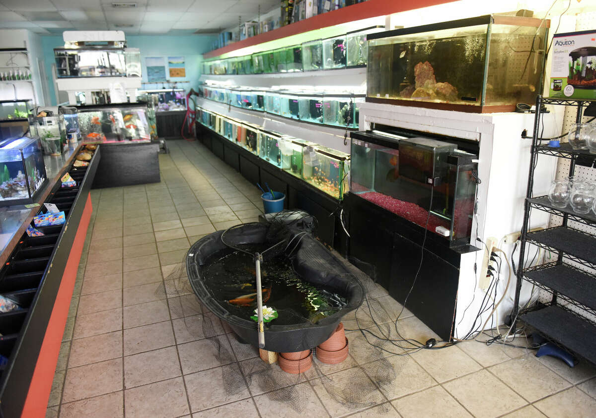 Stamford institution 'The Fish Bowl' lives on with new owner