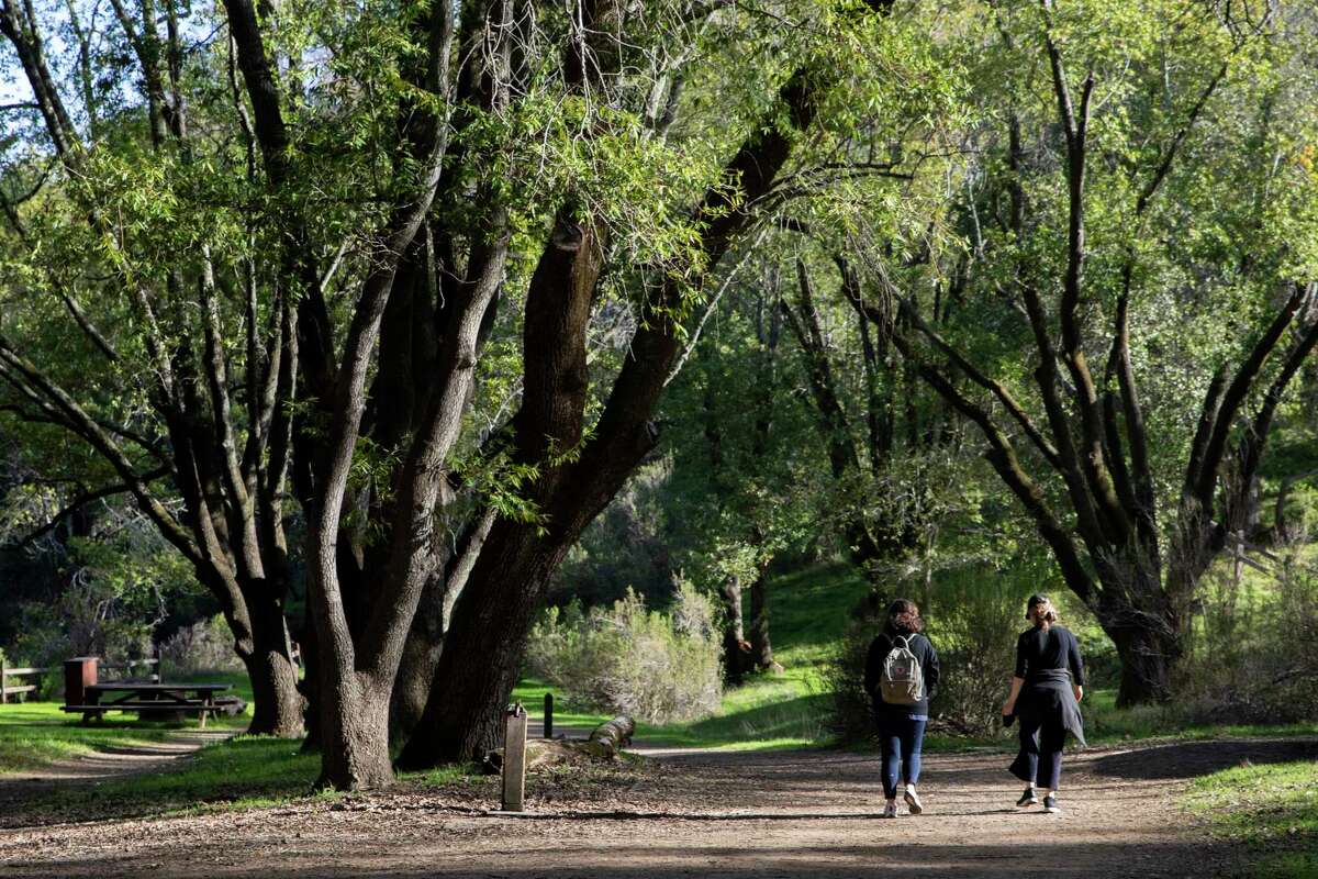 Bay Area tick and Lyme disease risk Did rainy winter make it worse?