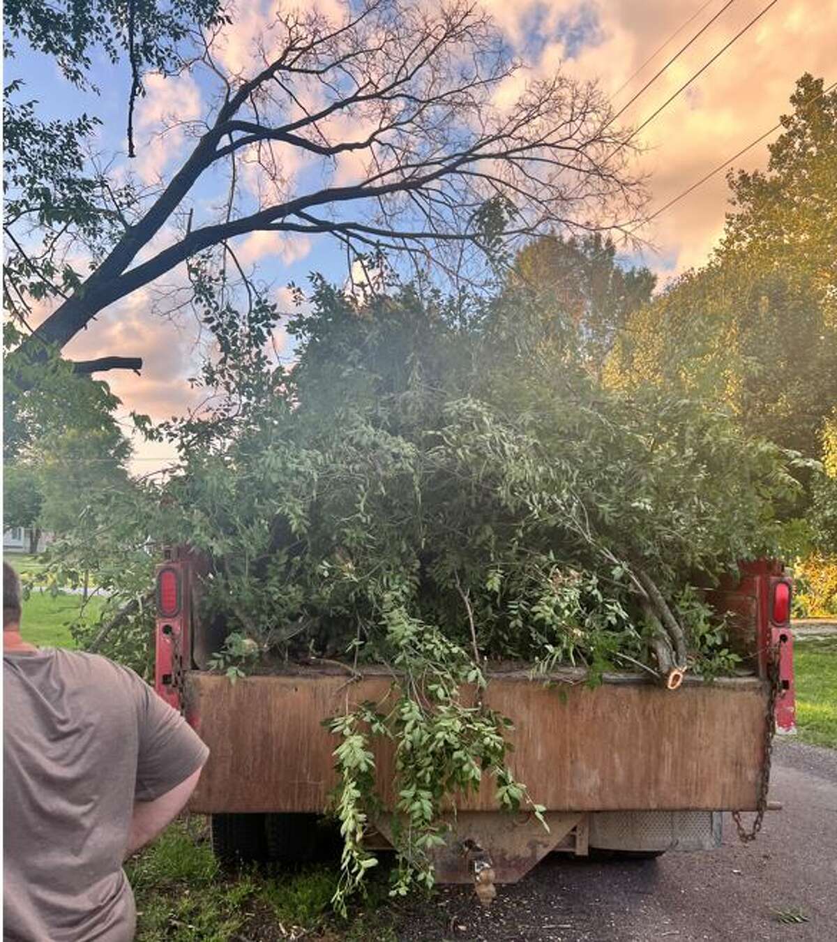 Friday night tree task tackled by new South Roxana mayor