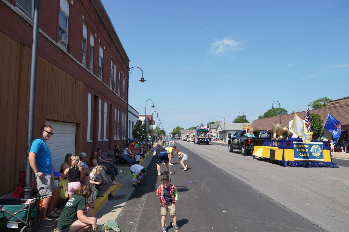 Pigeon Farmer's Summerfest brings hundreds to town