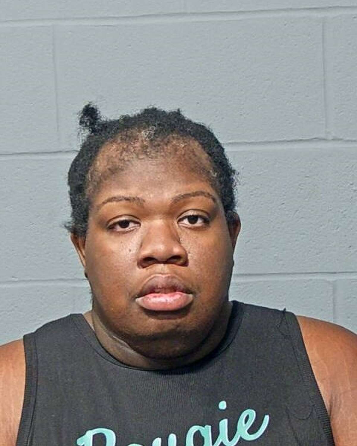 Hartford Police Department Arrest Log - t8g8fn5