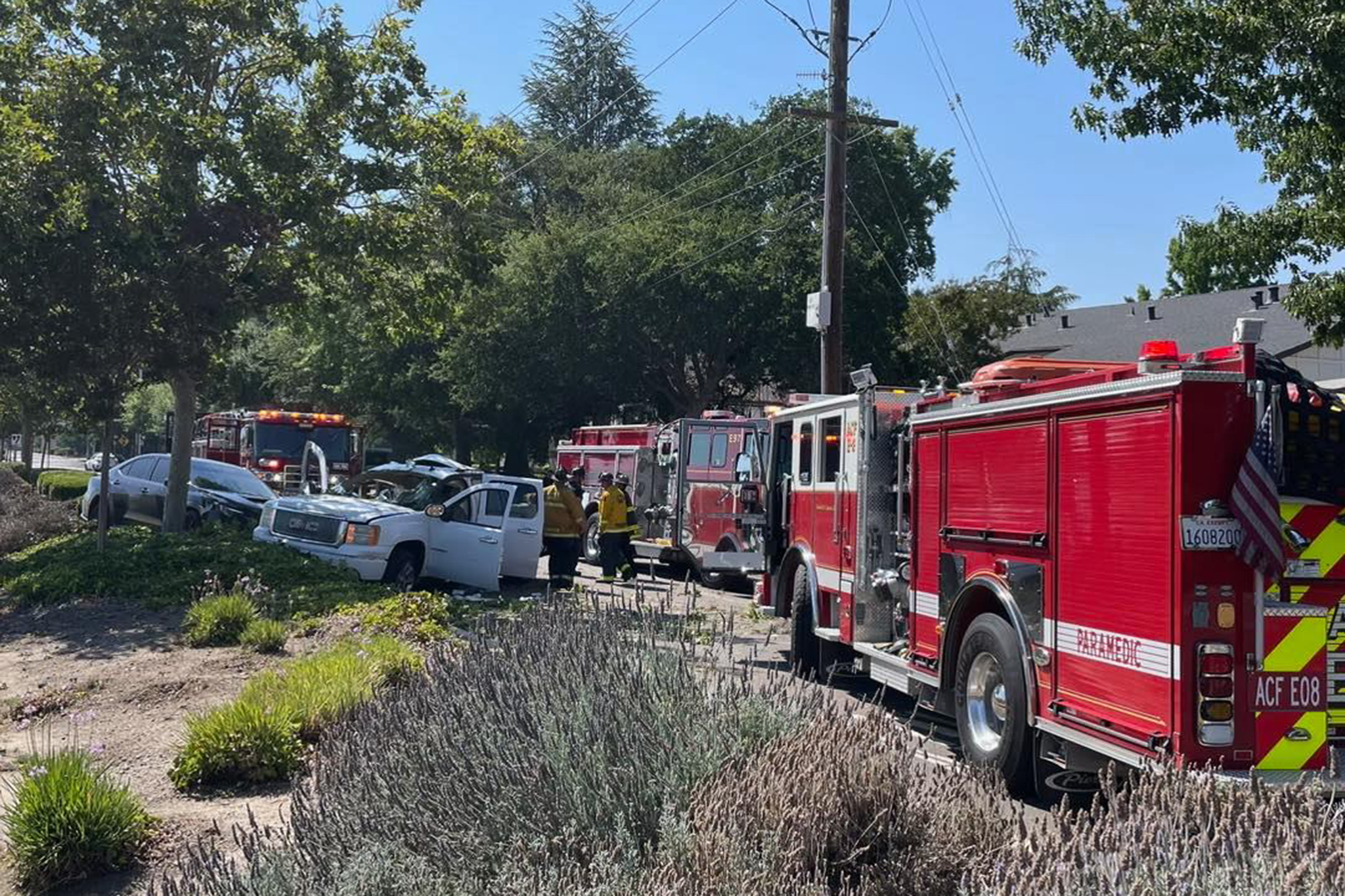 California winery owner killed in car collision