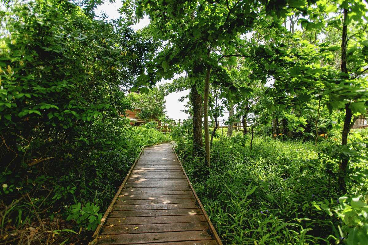 Explore Branford's Thimble Islands and Stony Creek village