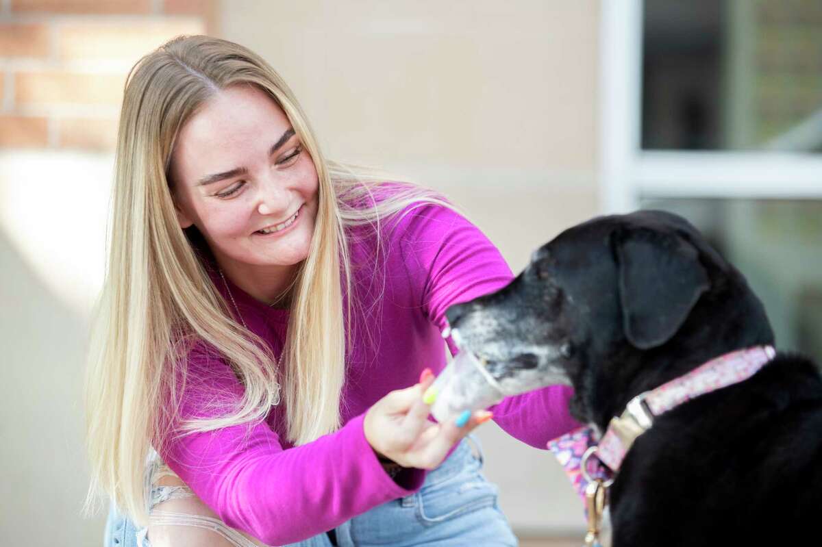 Woodlands TikTok influencer goes viral with raw pet food diet trend