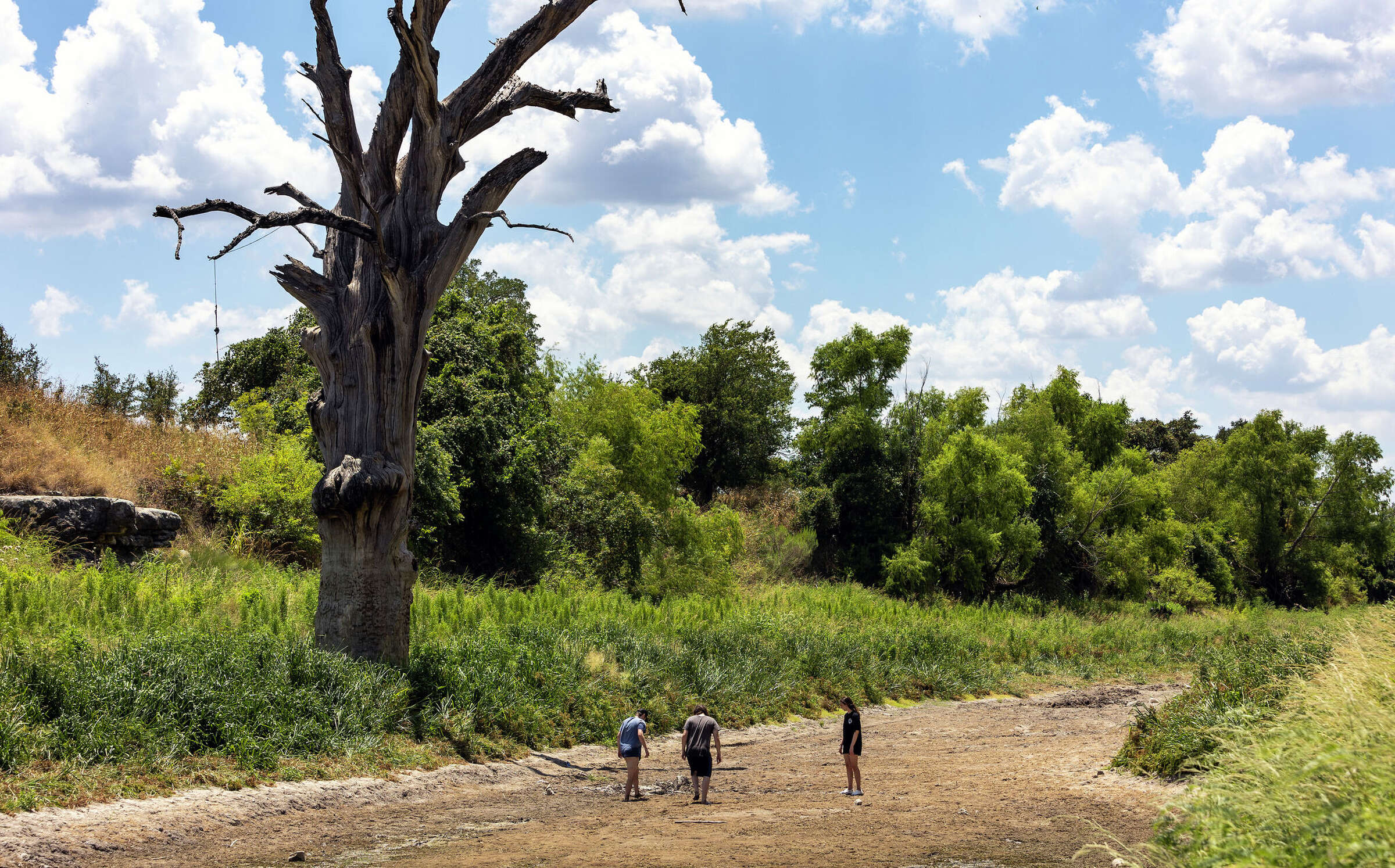 Here’s why water level at Canyon Lake is near an alltime low