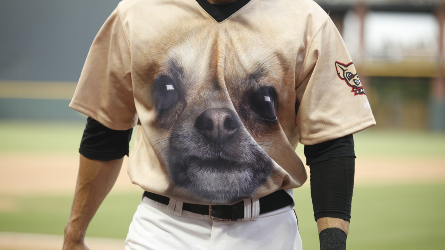El Paso Chihuahuas dog-face jerseys return for 10th anniversary