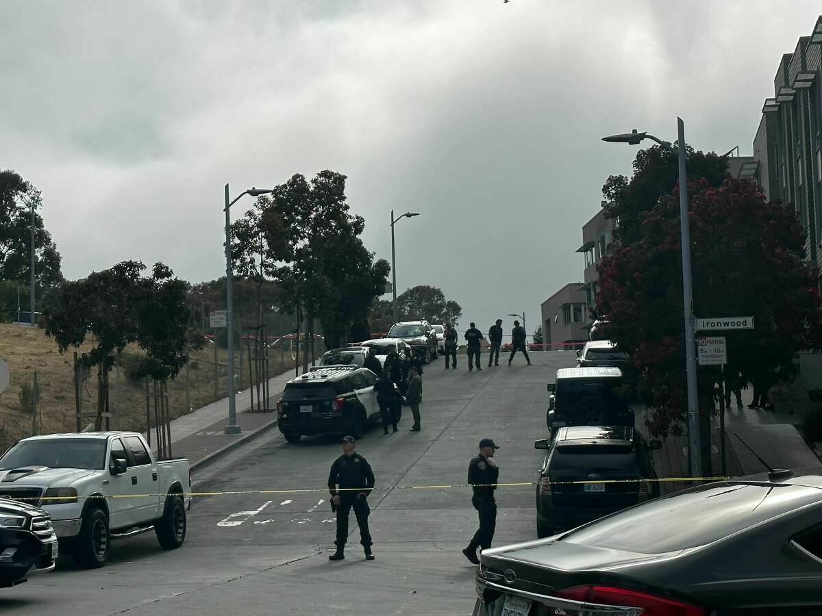 S.F. Man Shot And Killed By Police In Bayview Identified