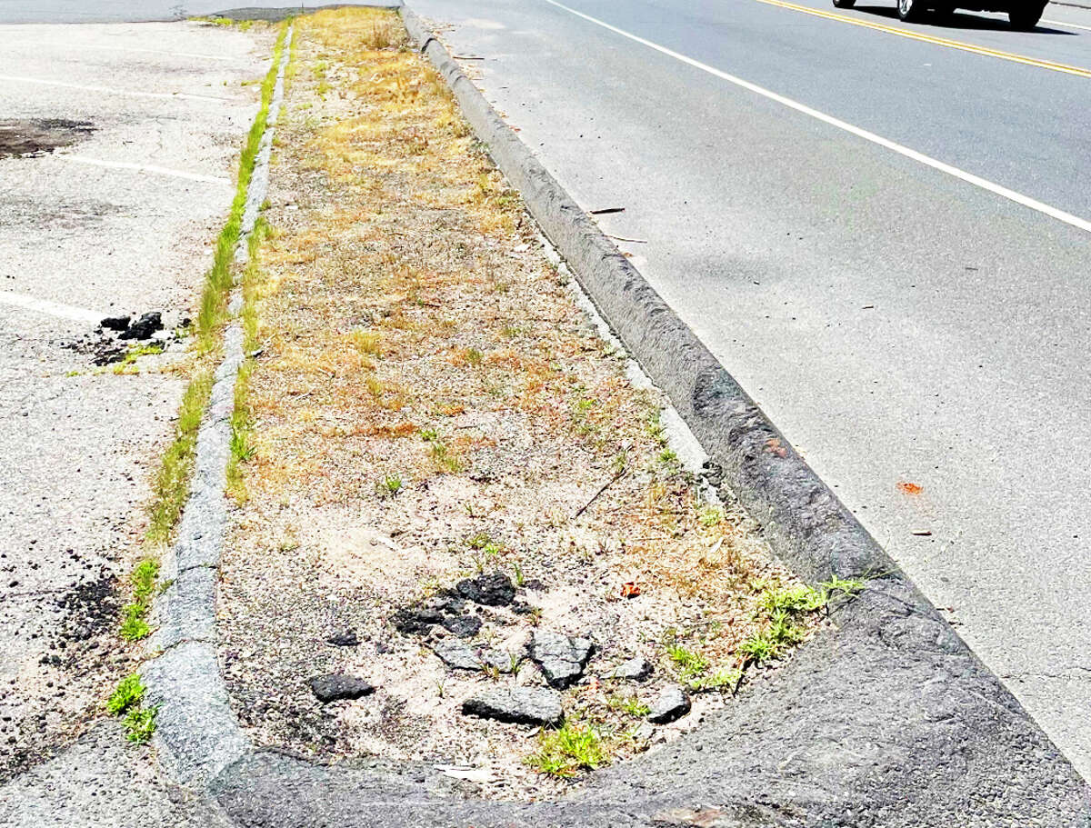 Haddam CT man beautifies overgrown public areas he calls 'eyesores'