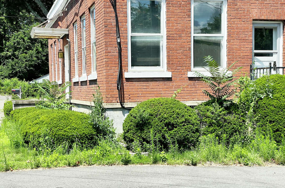 Haddam CT man beautifies overgrown public areas he calls 'eyesores'