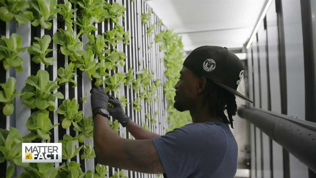 A Baseball Player's Dream of Growing New Fields