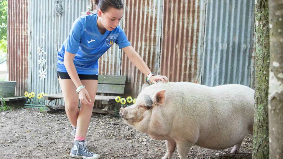 Reagan Diodw pets Wilber the pig at The Good Vibe Farm, Saturday, July 29, 2023, in Tomball. The rescue farm turned petting zoo features more than 80 animals and offers tours, fields trips and other events.