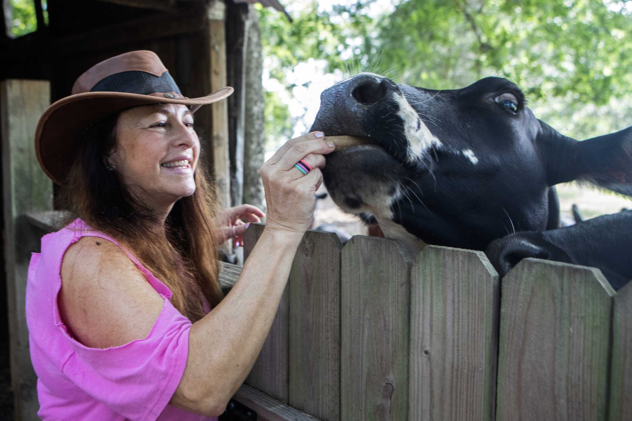 Tomball's Good Vibe Farm lets people interact with farm animal rescues