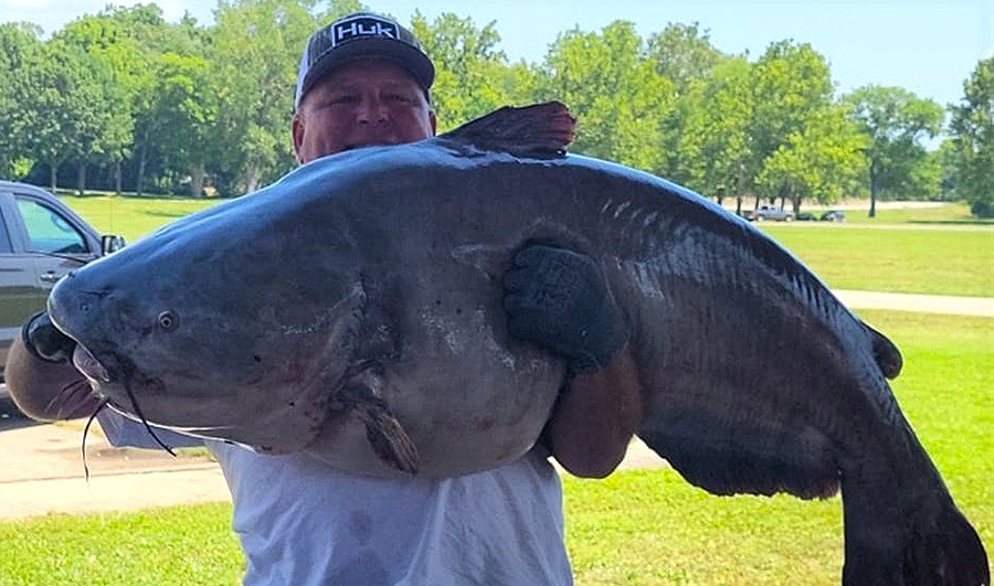 Angler lands monster-sized catfish in tournament
