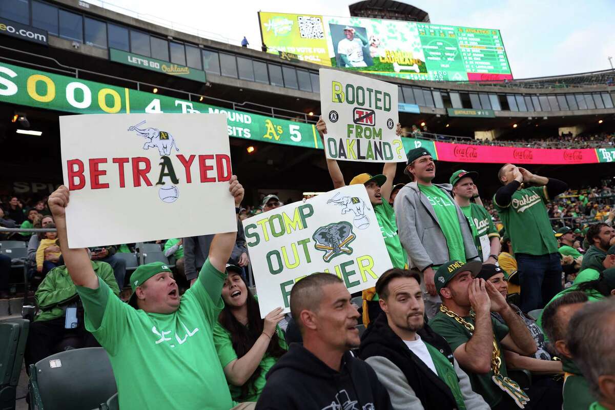 The best chance for A's fans to make a big point is with tiny crowds