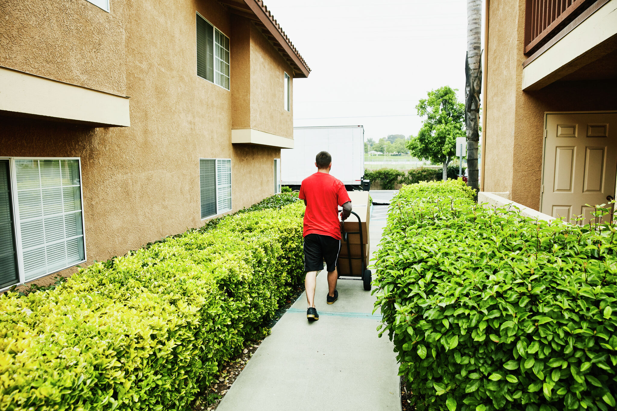 5 Best Moving Companies in Santa Rosa, CA