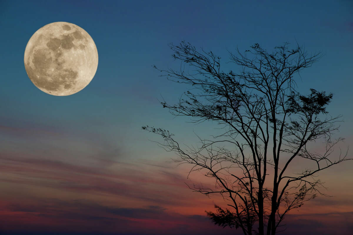 Skywatchers Rise of the Sturgeon Full Moon tonight
