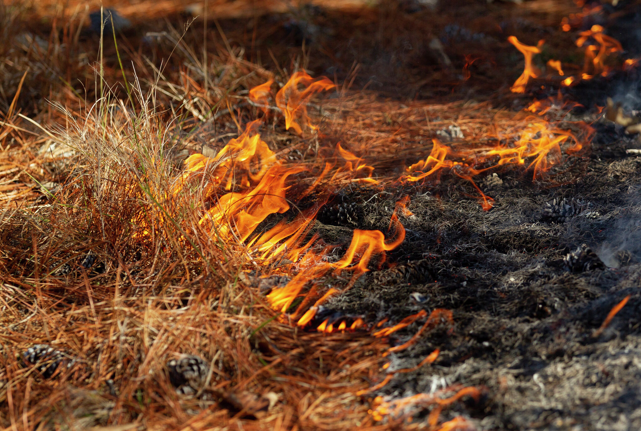 Montgomery County issues 30day burn ban as dry conditions continue