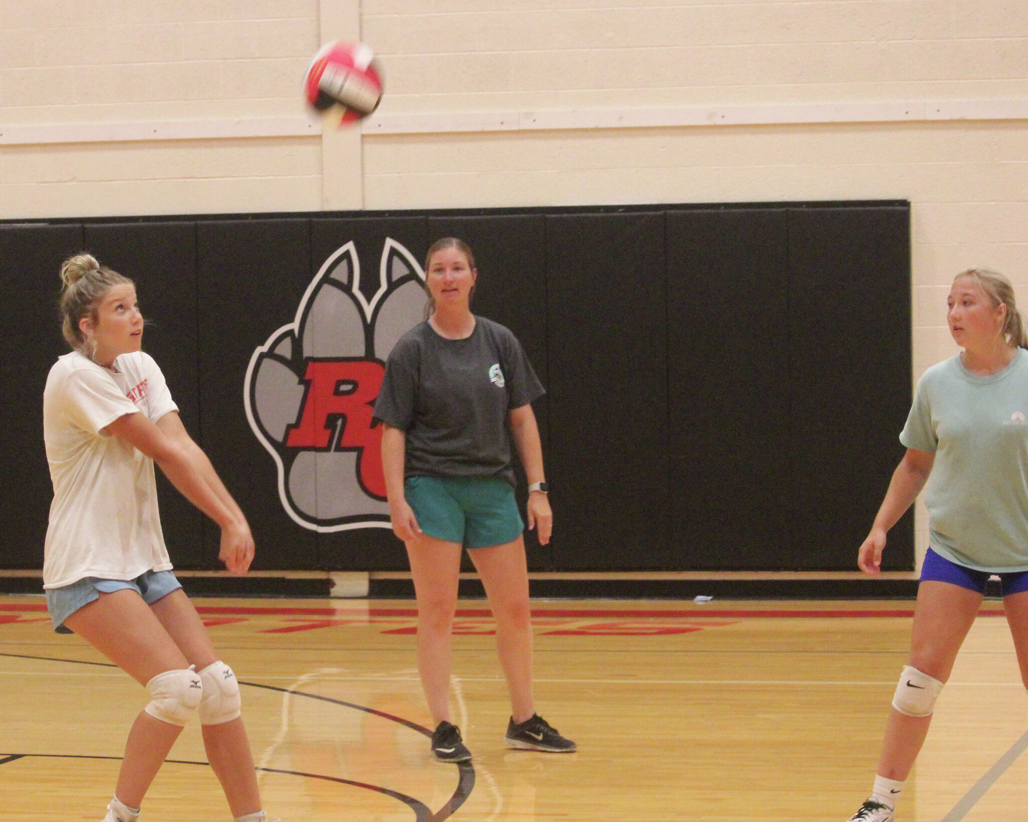 Challenges exciting for Reed City volleyball junior