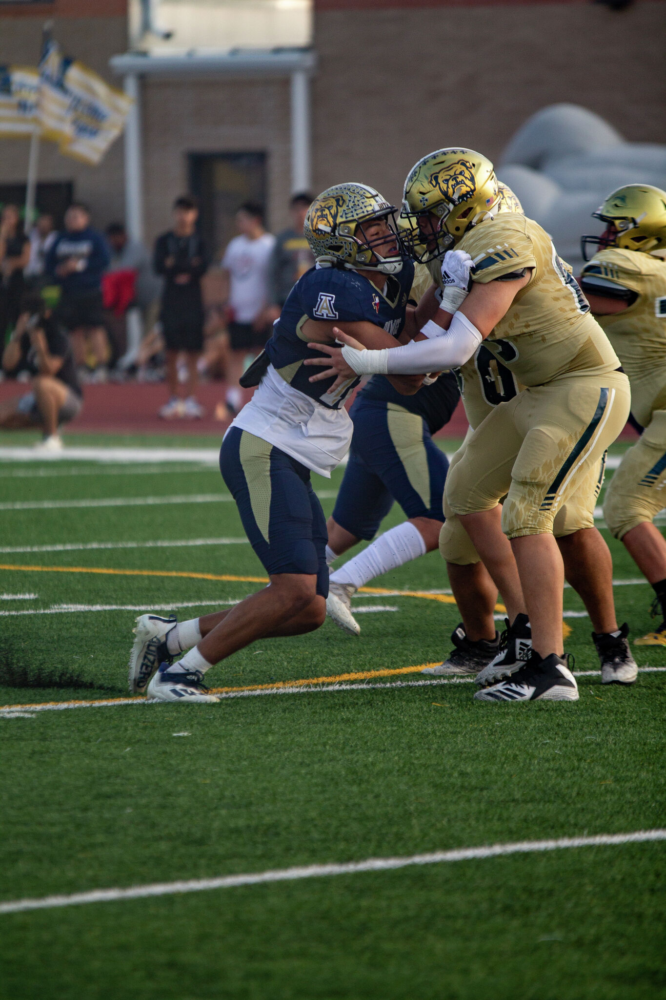 Alexander football season tickets on sale now