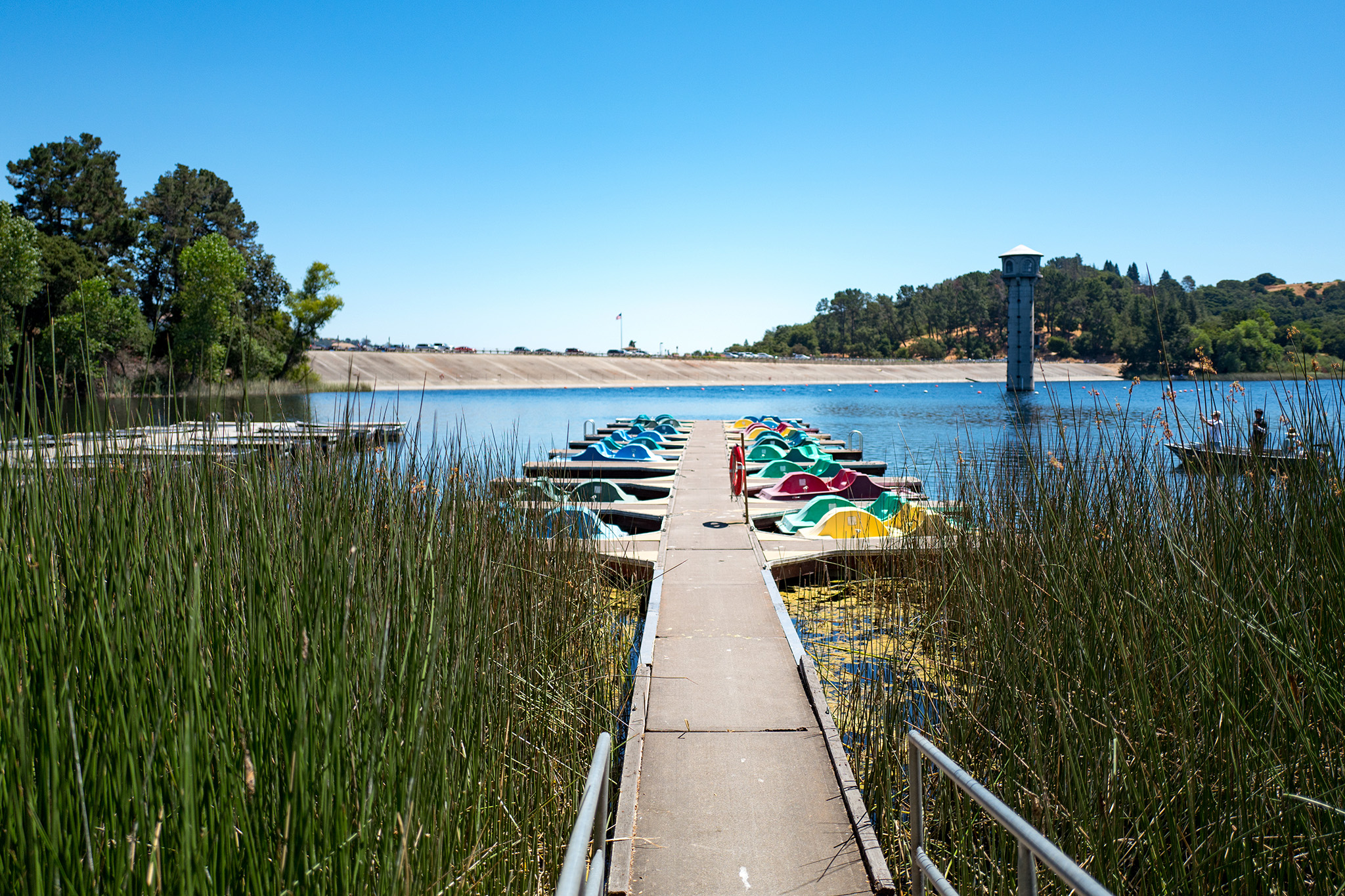 The Lafayette Reservoir is an oasis in the middle of the East Bay