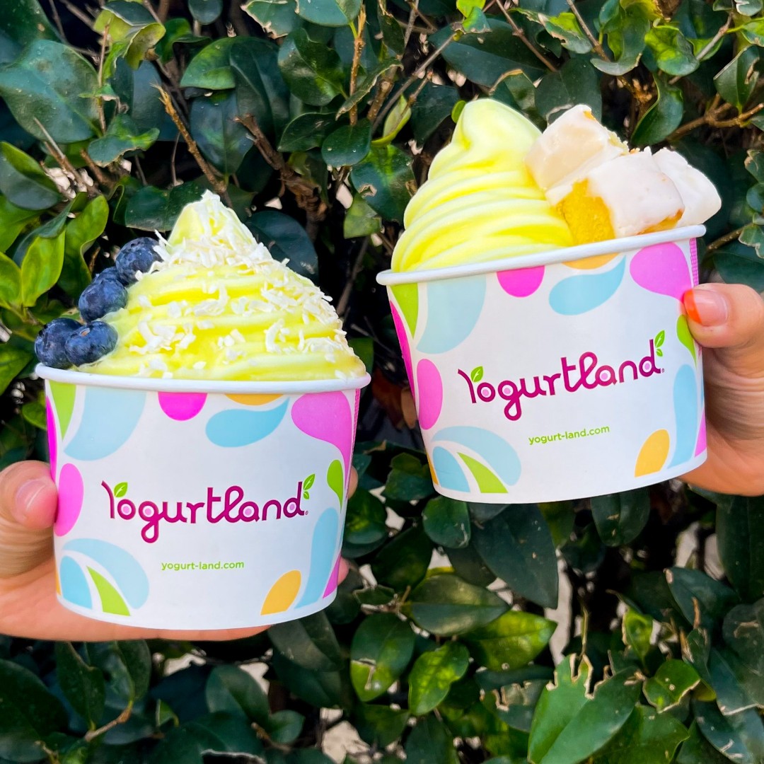 Sugar Land frozen yogurt shop Yogurtland to open this fall