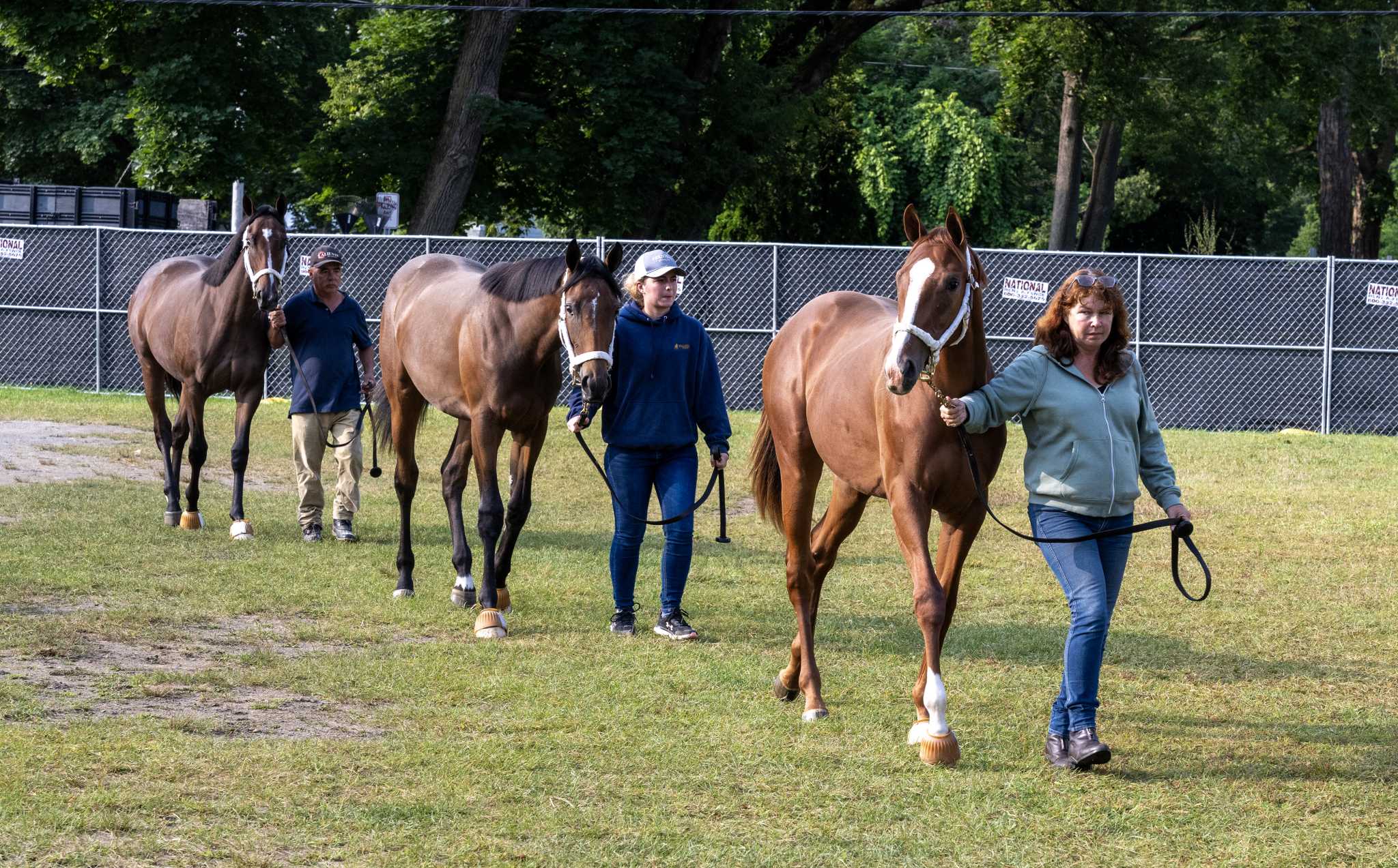 NFL, World Series, Breeders' Cup: Who's in, who's out?