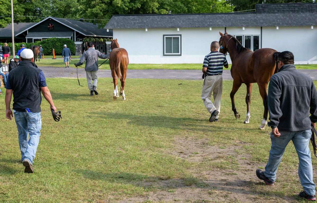 Saratoga's FasigTipton yearling sale grosses record 20.6 million