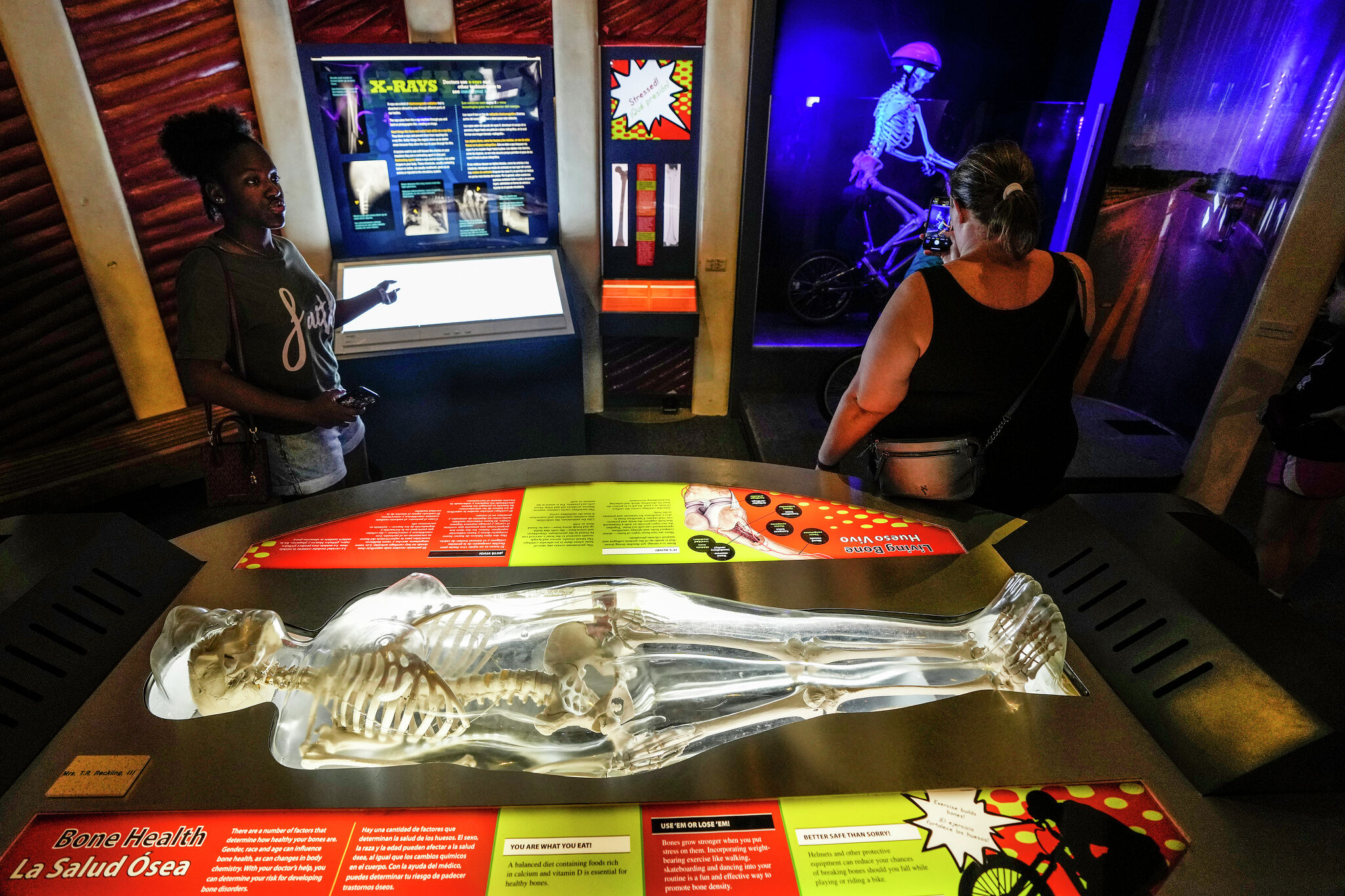 Through humor and science, Health Museum makes the body the attraction