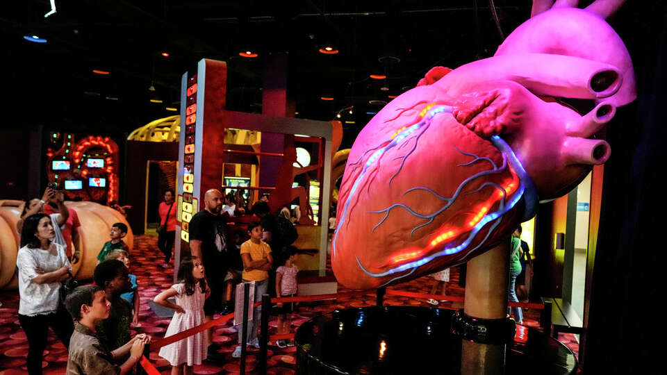 Visitors to The Health Museum check out the 12-foot tall beating heart in the Amazing Body Gallery 