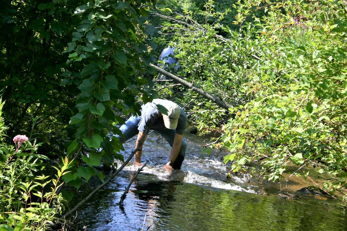 Crews remove 11 rock dams along Twin Creek in Evart