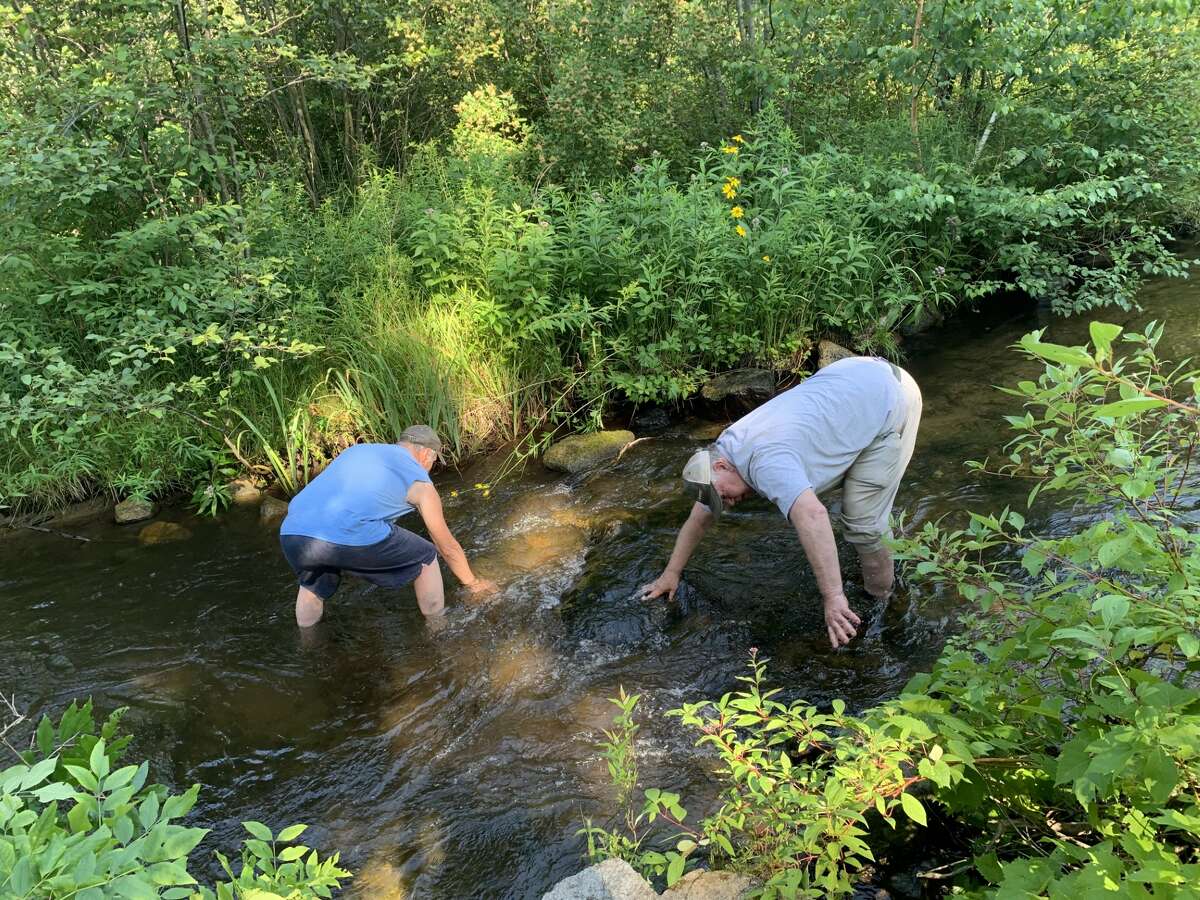 Crews remove 11 rock dams along Twin Creek in Evart
