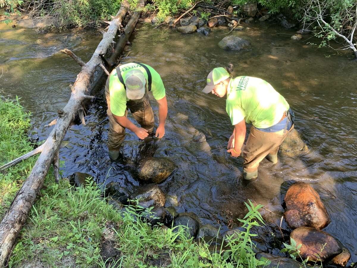Crews remove 11 rock dams along Twin Creek in Evart
