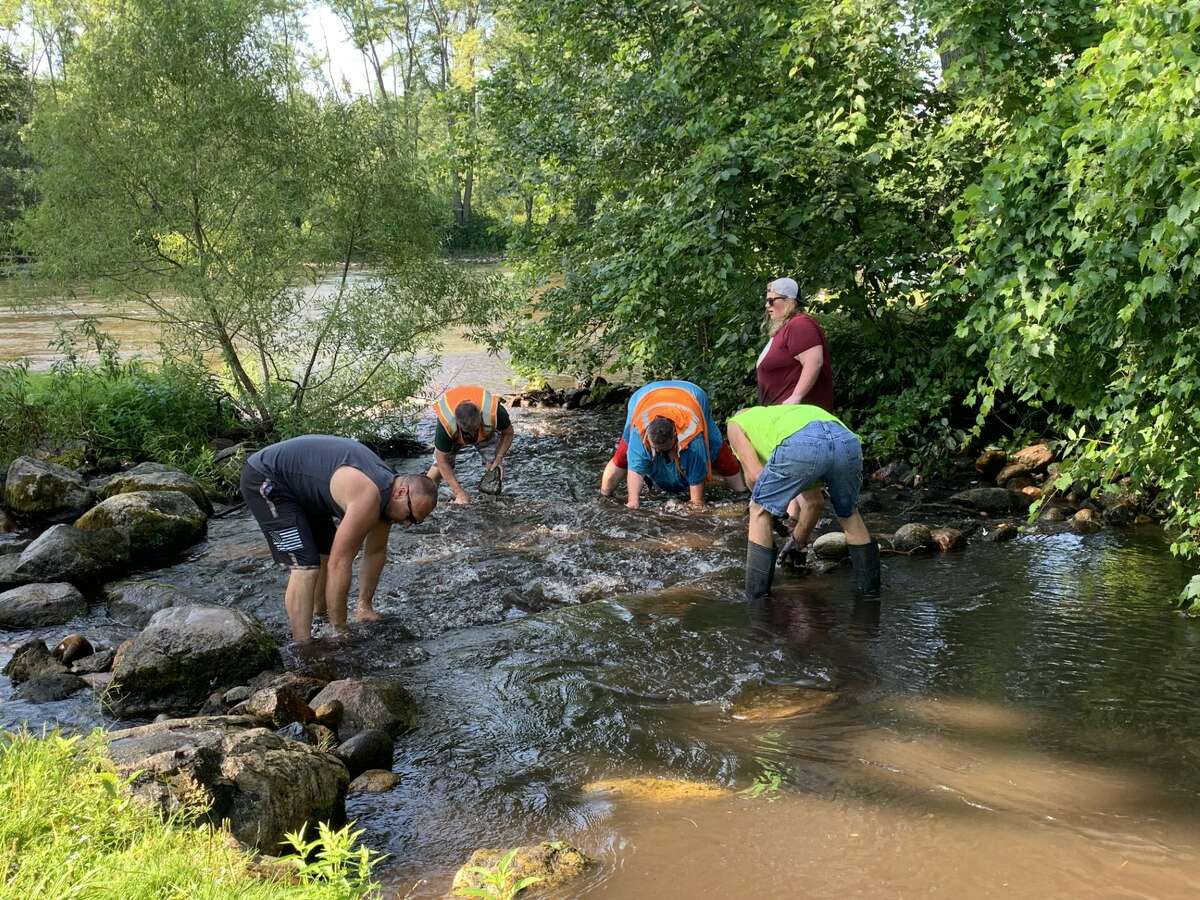 Crews remove 11 rock dams along Twin Creek in Evart