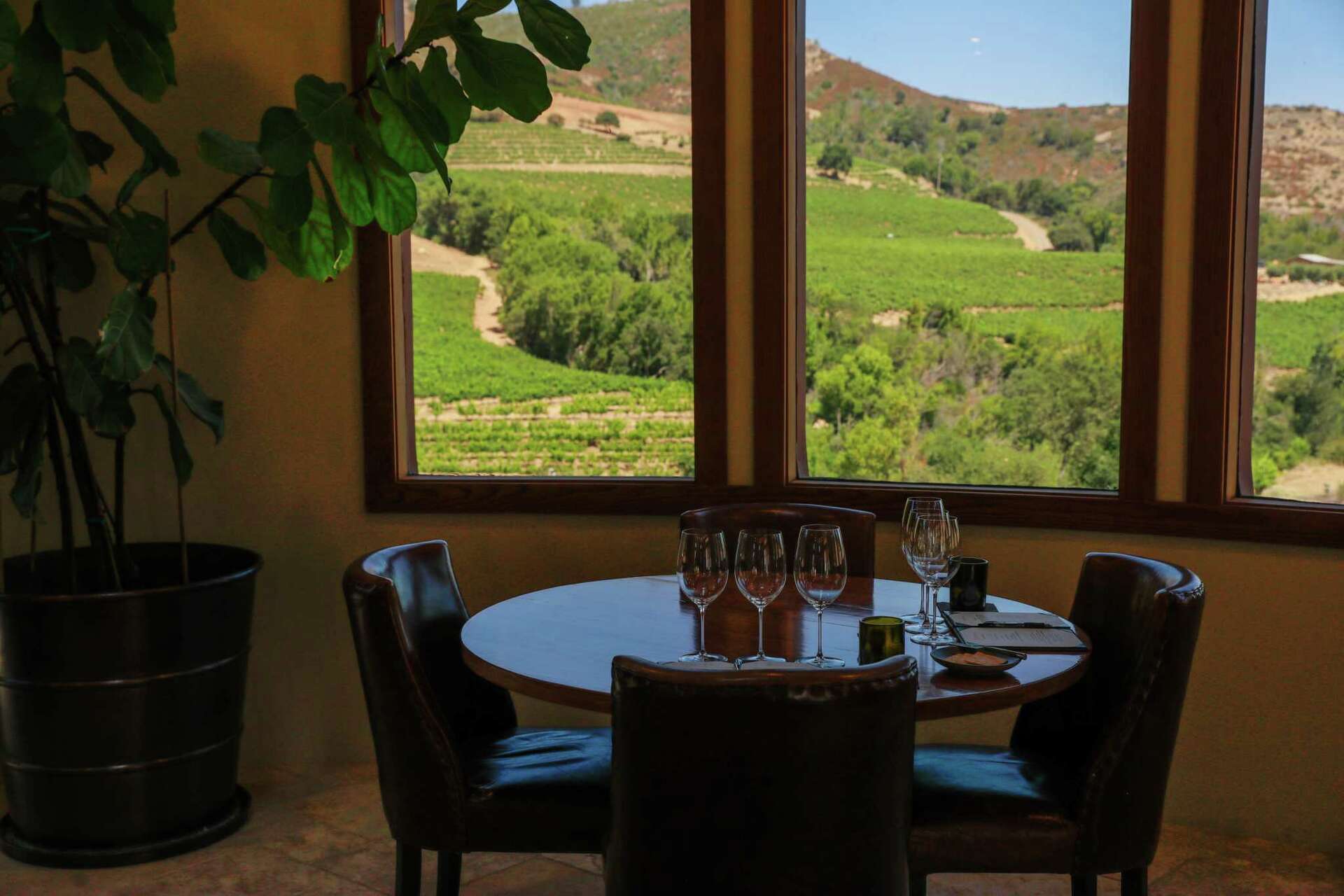 Moon Mountain makes beautiful, complex wines